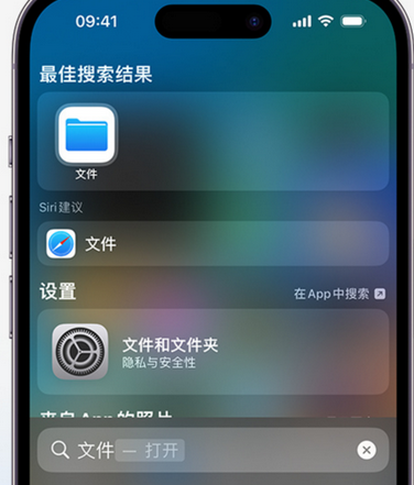 长汀apple维修中心分享iPhone文件应用中存储和找到下载文件