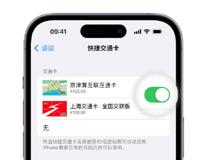 长汀apple维修点分享iPhone上更换Apple Pay快捷交通卡手绘卡面 