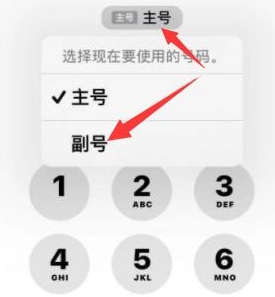 长汀苹果14维修店分享iPhone 14 Pro Max使用副卡打电话的方法 