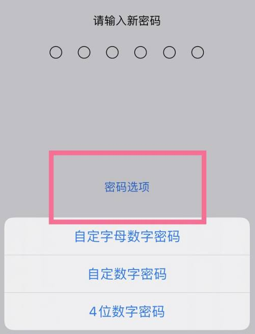 长汀苹果14维修分享iPhone 14plus设置密码的方法 