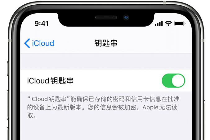 长汀苹果手机维修分享在 iPhone 上开启 iCloud 钥匙串之后会储存哪些信息 