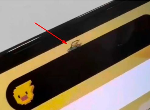 长汀苹果14维修分享iPhone 14 Pro Max灵动岛怎么养宠物 