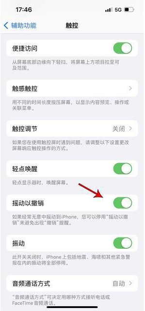 长汀苹果手机维修分享iPhone手机如何设置摇一摇删除文字 