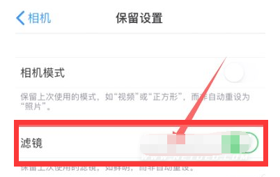 长汀苹果13维修分享iPhone13拍照有绿点是怎么回事 