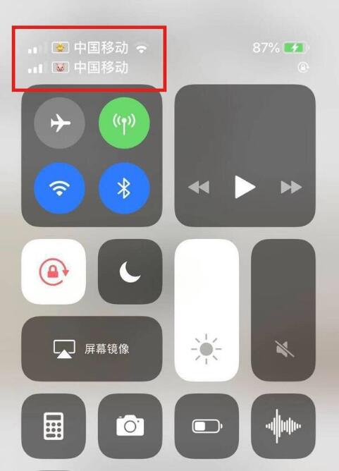 长汀苹果手机维修分享为 iPhone 12 双卡设置标签 