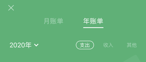 长汀苹果手机维修分享如何在 iPhone 上查看支付宝和微信年支出账单 
